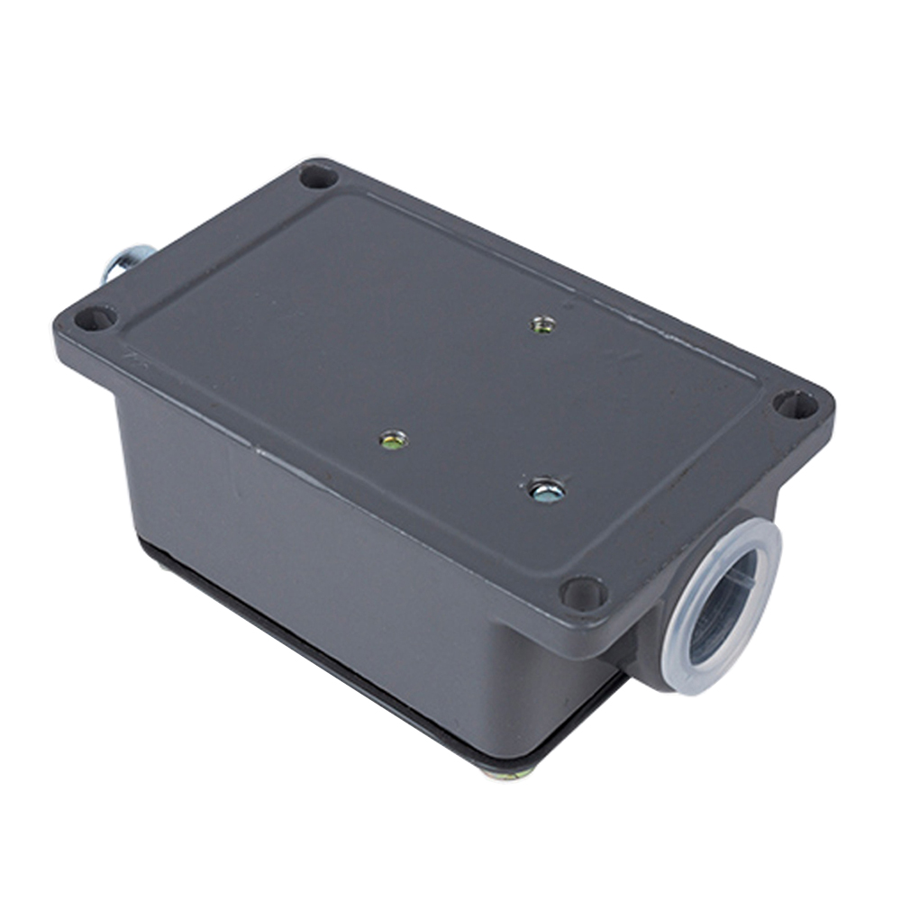 CHNT YBLX-19/001 Finecorsa di  - Limit Switch recensione e prezzo